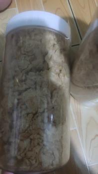 Product Review of 1Kg chà bông xù heo chuẩn vị vừa ăn, loại ngon ( vị mặn ngọt ) from S** T**n 3