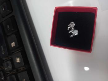 Product Review of 89-S017 HOA TAI KIỂU DÁNG ĐỘC ĐÁO VỚI THIẾT KẾ HÌNH TUẦN LỘC XINH XẮN DÀNH CHO NỮ Voi from T** H**n 0