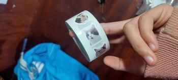 Product Review of Hình dán mèo Meme hoạt hình, 500 chiếc, Thích hợp cho phần thưởng học tập, đồ trang trí lớp học, hình dán khuyến khích, cho học sinh và giáo viên from M**g 2