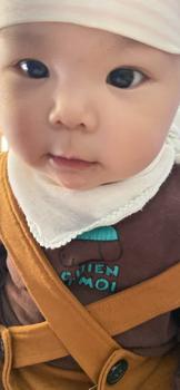 Product Review of Balo Đeo Vai gấu nâu size 45cm to sức chứa lớn, balo đi học đi chơi sành điệu độc đáo Backpack Nam Nhung Da mau balodanu from N**n t**m 0