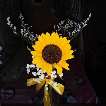 Product Review of Khuyên tai bạc nữ TLEE sao đá sang trọng TLEE JEWELRY B0299 from C**g 0