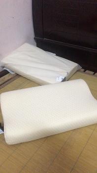 Product Review of GỐI CAO SU ZARA HOME CHỐNG MỎI LƯNG, CỔ 30X50CM from h**b 0