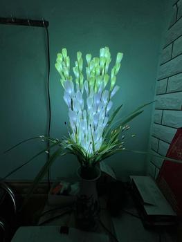 Product Review of Huệ có điện trang trí bàn thờ 15 nhánh- Hoa giả trang trí nhà- Hoa Điện Trường Lực from N**n T**h T**g 0