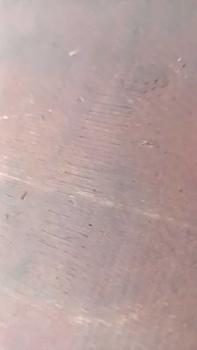 Product Review of Móc Câu Cá, Thép Carbon Cao, Có Gai, Lật Tự Động, Móc Câu Cá, 12 Cái / Gói, Thích Hợp Để Câu Cá Chép Bạc Và Đầu To, Phụ Kiện Câu Cá from T**y g**o g** 0
