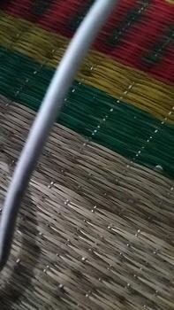 Product Review of Đồ chơi Thú Bông VỊT VÀNG nhại giọng, biết đi, biết kêu CẠP CẠP kèm dây sạc cho bé yêu, cho bé tập nói from N**n T**o 0