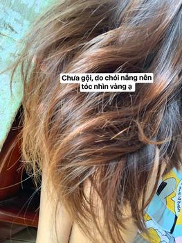Product Review of Cặp gội xả ELY BIOHAIR (2 chai 1000ml)  mượt tóc, kiềm dầu cho tóc, thơm cánh hoa from N** H**u 1