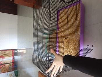 Product Review of Lồng đại 60cm cho hamster - có sẵn 2 lỗ ống nối from 🐢**🌸 0