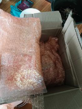 Product Review of พร้อมส่ง ขนมจีบ ขนมจีบเมืองตรัง ไส้สังขยา 15ชิ้น from D**n 2