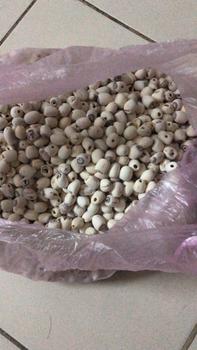 Product Review of 500g Hạt Sen Khô - Hạt Sen Khô Đồng Tháp Loại 1 - vanhungchau from t** l** 0