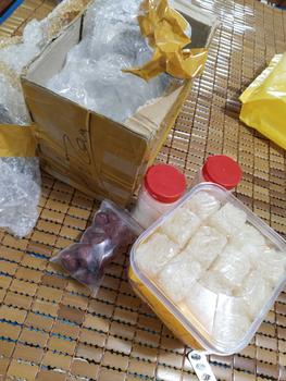 Product Review of Yến Tinh Chế Vụn BaBy Làm Từ Sơ Mướp [ Hộp 100g/50g/25g/10g ][ Có Quà Chưng ] YẾN SÀO CẦN GIỜ LỘC THIÊN from T**h T** 1
