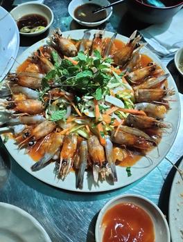 Product Review of Bộ quần áo cho bé size từ 14kg đến 50kg, Bộ cho bé trai siêu đẹp phù hợp đi học, đi chơi, du lịch polo from p**6 0