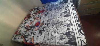 Product Review of 10 DESIGNS CHARACTER 100% CANADIAN COTTON 3in1 (bedsheet with 2 pillowcase) from T**g 0