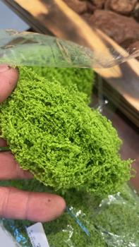 Product Review of Đồ Trang Trí Rêu Mô Phỏng, Bền, Cho Cây Trồng Chậu, Cảnh Quan Siêu Nhỏ, Rêu Hoa Và Rêu Xanh, Đồ Thủ Công Tự Làm, Trang Trí Vườn Nhà, Cỏ Giả, 1 Bộ from t**u 0