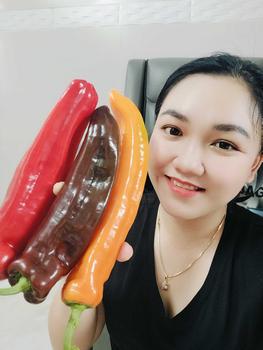 Product Review of [Combo 2kg mix thưởng thức] 1kg Ớt Sweet Palermo + 1kg Ớt Chuông Baby + tặng ớt snack - Vườn Nhà Đà Lạt- ngành rau - Tặng muối Xí muội from N**c H** 2** 3
