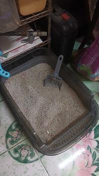 Product Review of กระบะทรายแมวมีรั้วขนาดใหญ่ ห้องน้ำแมว กระบะทรายแมว จุของได้เยอะ รุ่นขอบสูงมาพร้อมบังเกอร์สกรีน แถมพลั่วตักทรายแมวและถุงดับกลิ่น from แ** 2