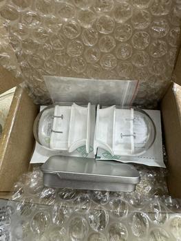 Product Review of [1 Chiếc] [XỎ] Khuyên Tai TITAN G23 HẠT THÓC Phù Hợp Helix Lobe Cách Điệu Unisex Không Ngứa Không Phải Màu Julies Box 66 from T**n 1