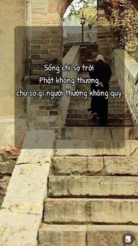 Product Review of Quần Jean Baggy Nữ Rách Thêu Lai DB01 - Quần Baggy Bò Nữ Lưng Cao Dáng Ôm Tôn Dáng Chất Cotton Không Giãn - TK Chic from H** 0