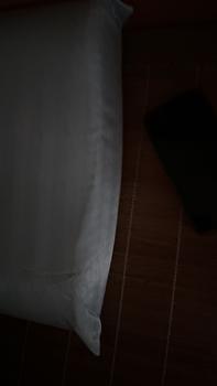 Product Review of [VỎ GỐI] Vỏ Gối cao su non Thầy giáo Tí hon chất liệu cotton lụa hàn mềm mại, thấm hút mồ hôi, không xước da from K** N** M** 6**9 0