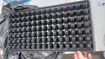 Product Review of *Clearance* ถาดเพาะกล้า ถาดเพาะชำ ถาดเพาะเมล็ด ถาดเพาะ ถาดเพาะต้นอ่อน เพาะเมล็ด ถาดเพาะไฮโดร 50, 72, 105, 200หลุม ถาด  ปลูก  ผัก from 🍃**🍃 1