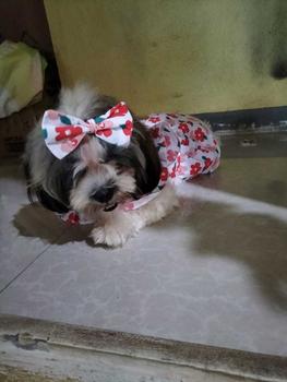 Product Review of Pet Dress Floral Pattern Pleated Hemming Windproof Pet Vest Puppy Flying Sleeve Clothes for Spring from j**i 3