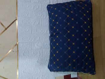 Product Review of Dofia [M01se] Anti-Bacterial Plush Hotel-Quality Pillow hot sales 1PC from Y**k 0