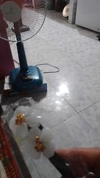 Product Review of Kẹp Tóc Tua Rua Hoa Phong Cách Trung Quốc Mới, Đơn Giản Và Hiện Đại, Kẹp Tóc Trang Phục Cổ Trang Hán Phục, Kẹp Tóc Lắc Bước, Mũ Đội Đầu Nữ from M**n 0
