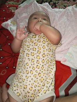 Product Review of YOURBABYNEEDS Bodysuit Jumper Lengan Pendek Bayi Perempuan dan Bayi Cowok 5in1 Motif Karakter Lucu Berbahan Katun Adem Premium Import Nyaman Digunakan Untuk Bayi Usia Baru Lahir Newborn Sampai 9 Bulan Baru from h**i f**8 1