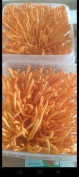 Product Review of Đông trùng hạ thảo 200g, nuôi 70 ngày, mua 3 tặng 1,vận chuyển và bảo quản thùng xốp và Đá khô, bảo hành 1 Đổi 1   đông from h**a 0