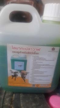 Product Review of แชมพูสำหรับสัตว์เลี้ยงกลิ่นมะกรูด หอมนาน สำหรับสัตว์เลี้ยง แชมพูอาบน้ำสุนัข แชมพูอาบน้ำแมว from u**9 0