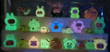 Product Review of Hộp Đựng Mô Hình Mini, Popmart, Bubble Mart Mini, Bảo Quản Đồ Chơi Sạch Sẽ Chống Bụi, Chống Nước from K**n D**i 0