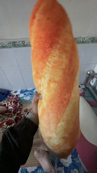 Product Review of Gối ôm ổ bánh mỳ 60-85cm  mềm mịn, độc đáo và hấp dẫn goiom  chongxep from T**🐻 3