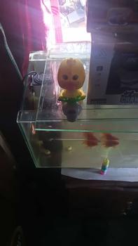 Product Review of Mumystation Mainan bebek motor tanpa baterai mainan anak bayi lucu bebek Permainan Plastik Toys Toys from c**2 0