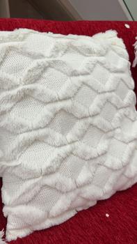 Product Review of Vỏ Đệm Nhồi Bông Một Mặt, Họa Tiết Lưới Kim Cương, Màu Trơn 30cmx50cm / 45cmx45cm, Bán Một Mảnh from H** N**n B** h**m 0