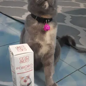 PORORO - Shampoo Kucing ALL PROTECTION untuk GROOMING, Jamur, Kutu, Scabies, Parasit, Alergi dan Radang Kulit