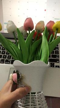 Product Review of Hoa Giả - Hoa Tulip nhiều màu sắc trang trí xinh xắn, nhẹ nhàng, phụ kiện decor phòng Hoa Sen from H**i T**g 0