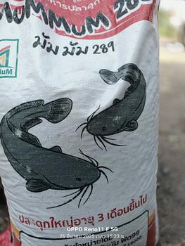 Product Review of อาหารปลาดุก MumMum 289 เม็ดใหญ่ 25.5% 20กก. (จำกัดออเดอร์ละ 1 กระสอบ) หัว อาหาร from C**t 0