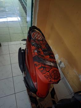 Product Review of Sarung Jok Motor Arvi 5 Dragon Elements Anti Cakar Kucing & Air motocrycle Motorcycle from y**a 2