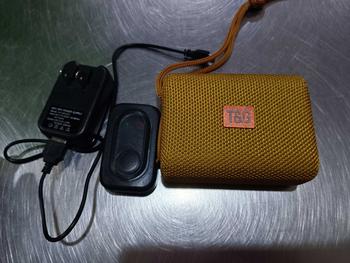 Product Review of T&G TG-313 TWS  Bluetooth V5.0 Wireless Mini Portable Stereo Bass Speaker with Strap Audio Device Smartphone from A**e M**g 1
