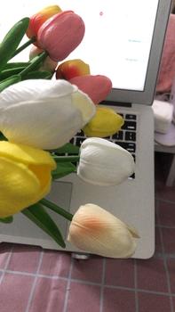 Product Review of Hoa Giả - Hoa Tulip nhiều màu sắc trang trí xinh xắn, nhẹ nhàng, phụ kiện decor phòng Hoa Sen from H**i T**g 3