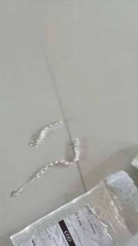 Product Review of C3 [ Siêu Sale Trong Live ] lắc tay thỏ mang lại tài lộc QUÀ TẶNG LẮC PHỤNG from T**n P**g 0