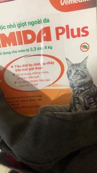 Product Review of Thuốc trị bọ trét/bọ nhảy/ve cho mèo từ 2,3-4kg from T**g L**4 0