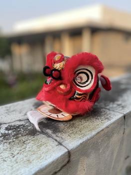 Product Review of Đầu lân nhỏ, loại đẹp, đầu lân trưng bày, size 12cm from D**Y L**E 1