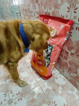 Product Review of KIN D สุนัขโต รสเนื้อ 10 KG from t**e p** 0