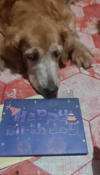 Product Review of 3D Fireworks Pop Up Birthday Cake Card, Happy Birthday Music & Blowable LED Light & Personalized Digital Birthday Ages For Women Mom Husband Men Grandma Kids Wife Pop Up Fireworks Birthday Card happy  birthday  card from C**s ** 1