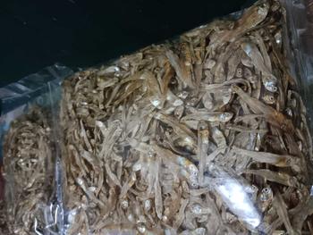 Product Review of ปลามะลิ ครึ่งกิโล ซื้อ 1 แถมฟรี 2 from #**า 0