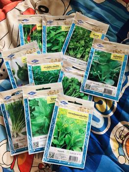 Product Review of เมล็ดพันธุ์ผักเจียไต๋ ซื้อ10แถม3   (ของแถมทางร้านเลือกให้) from K**P 0