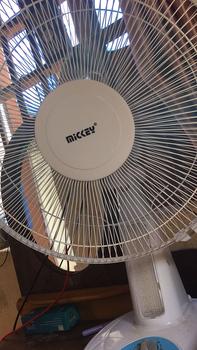 Product Review of Áo sơ mi nữ cộc tay màu trắng mặc màu hè siêu mát from N** S**g 0
