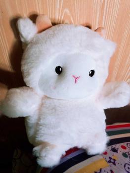 Product Review of 25CM Super Cute Sheep Plush Dolls Kawaii Rabbit Alpaca Toys Stuffed Soft Animal Pillow Birthday Wedding Party Throw Toys from l**. 0
