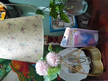 Product Review of (Mộc Khuê Decor) - Bình hoa trang trí nghệ thuật - lọ hoa thủy tinh khung sắt mạ vàng hình ngôi sao trái tim hiện đại dùng cắm hoa trang trí tiệc cưới sinh nhật tuyệt đẹp Decor, Decor Phòng bình hoa  nối liền cổ đại from r**y h**g 0