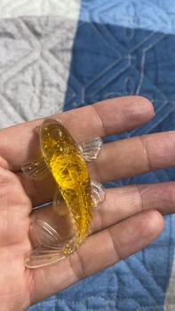 Product Review of Cá Koi Phong Thủy Thả Bát Minh Đường Tụ Thủy(Có Đồng Xu Tài Lộc) Trang Trí Phong Thủy Eposy from N**n H**g D**m C**u 0